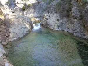 guazalmanco.jpg